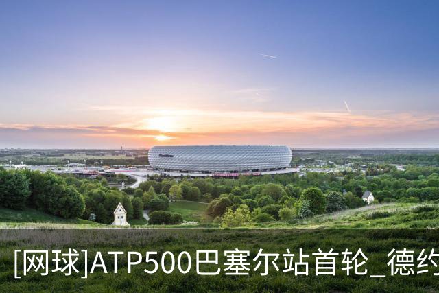 [网球]ATP500巴塞尔站首轮 德约科维奇逆转取胜